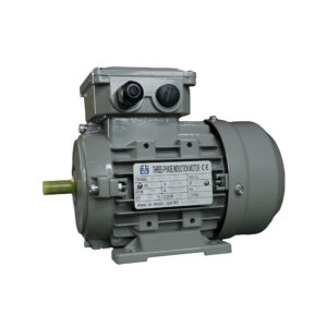 MS series three-phase aluminum housing motor IE1 | DAYOU TECH

