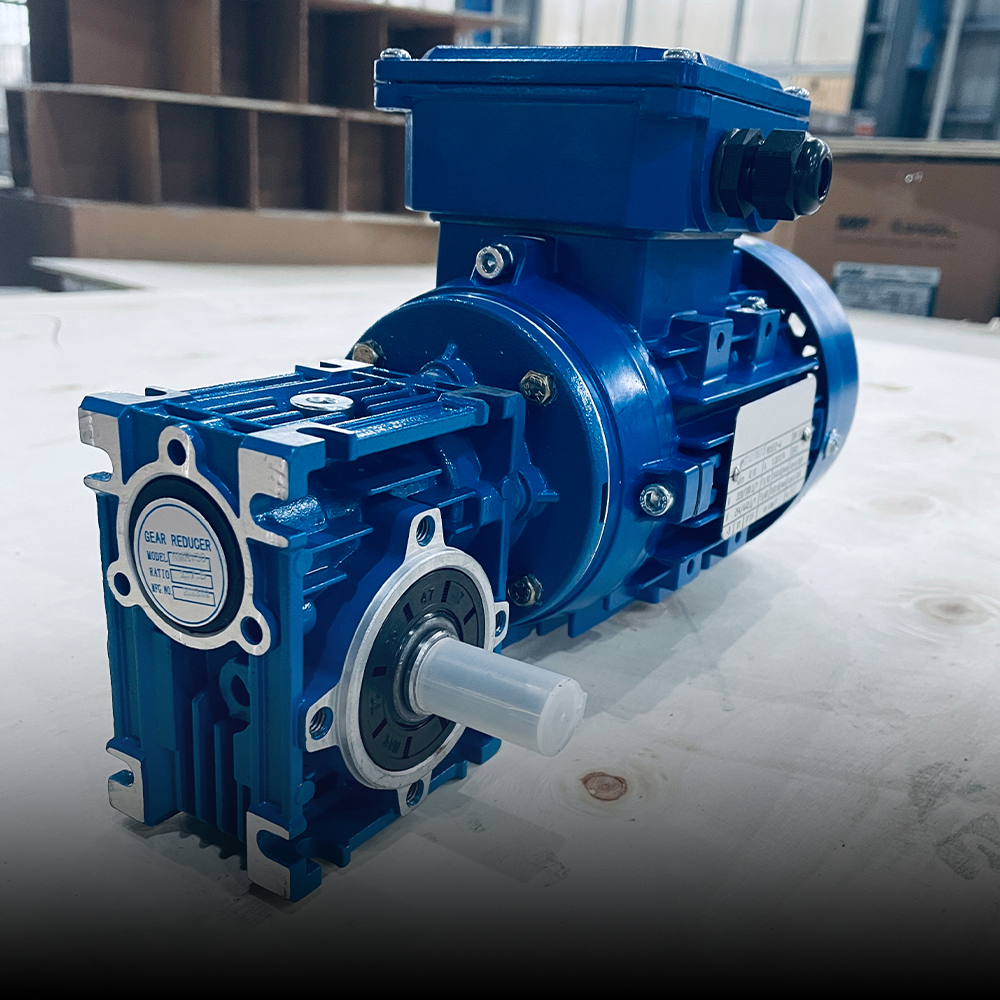 Gear reducer motor with aluminum housing | DAYOU TECH