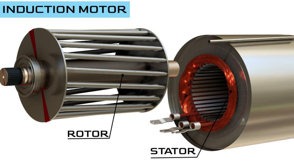 squirrel cage induction motor structure showing rotor and stator